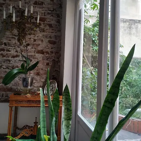 Benavides 5 サンタクルスデテネリフェ