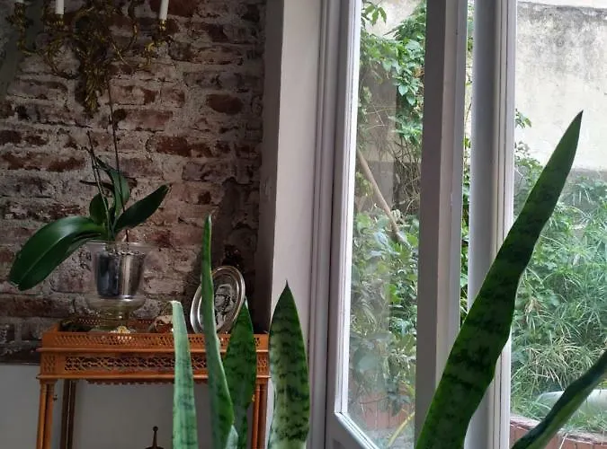 Benavides 5 산타크루스데 테네리페