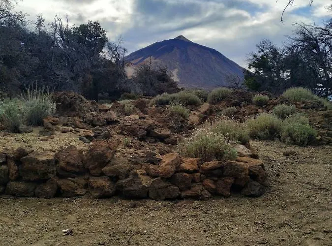 Benavides 5 * 산타크루스데 테네리페