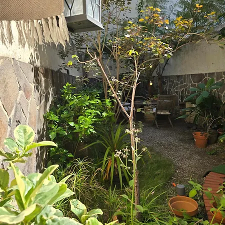 Apartment Benavides 5