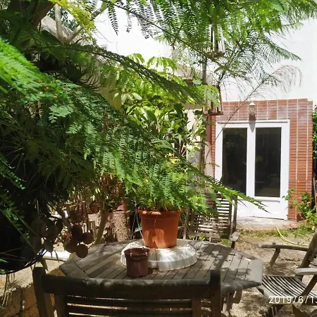 Apartment Benavides 5