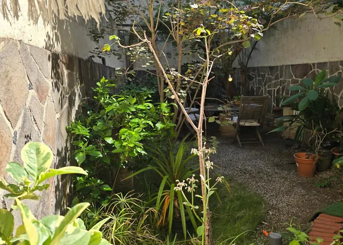 Apartment Benavides 5