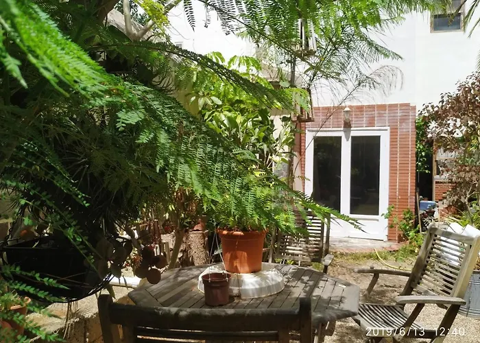 Apartment Benavides 5